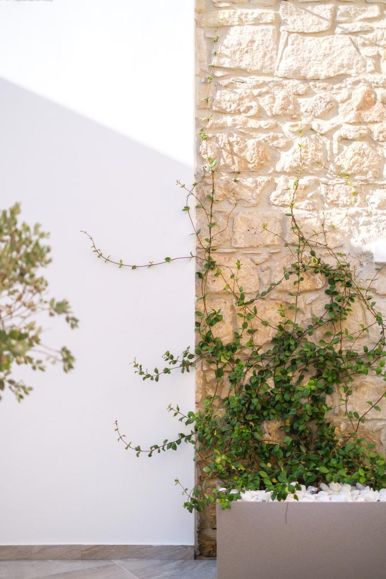 Royal Stay Luxury Homes Paphos Luaran gambar